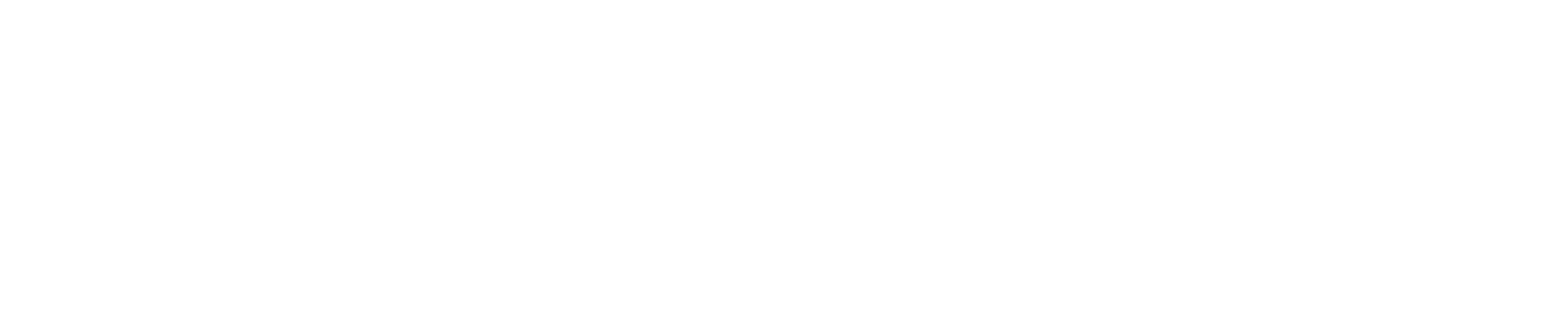 FeldmanAutoLogo
